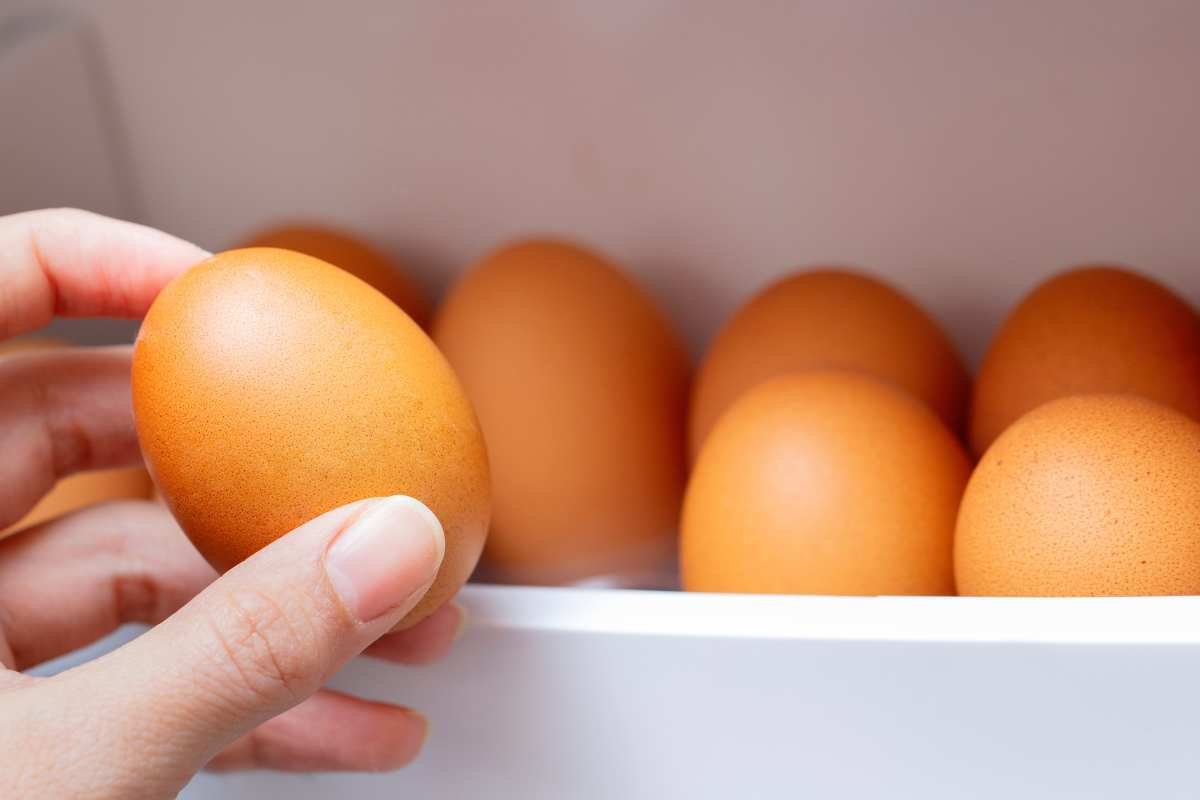 conservazione corretta uova