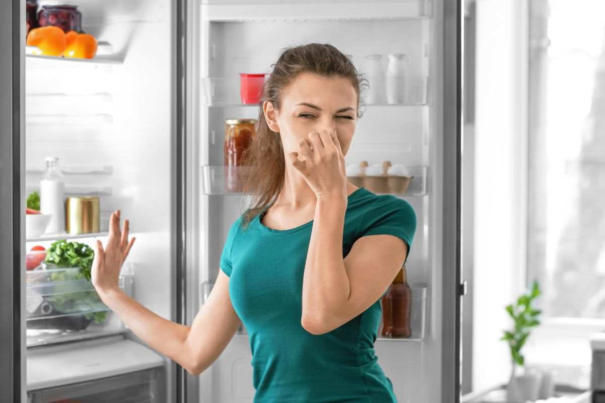 come eliminare cattivi odori frigo