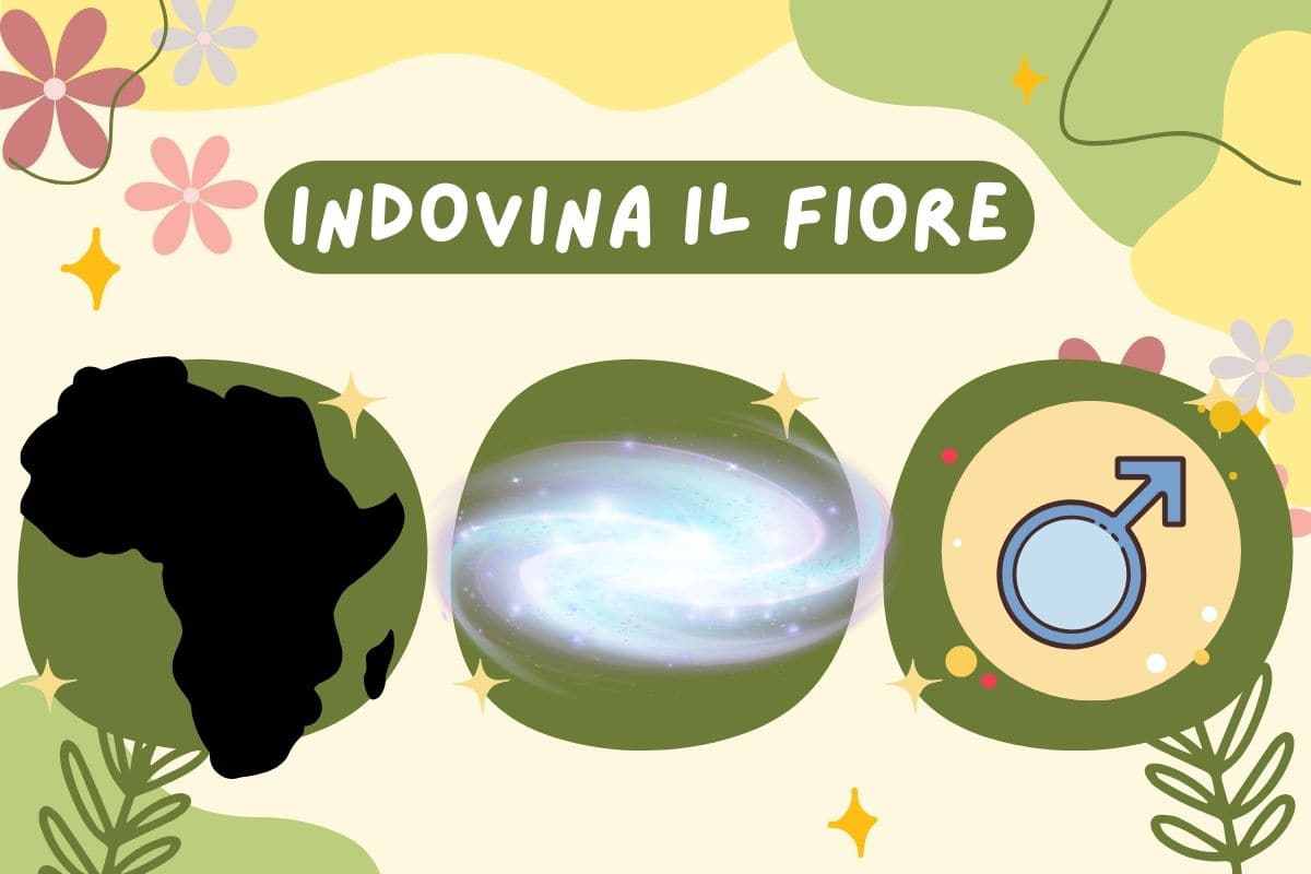 Indovina il fiore