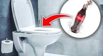 Versa la Coca Cola nel WC e guarda cosa accade: non crederai ai tuoi occhi