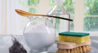 Avete del bicarbonato in casa? Non sottovalutatelo: gli usi impensabili che vi cambieranno la vita